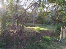 Chácara para Venda em Juruaia - 4