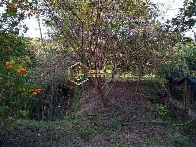 #530 - Chácara para Venda em Juruaia - MG - 1