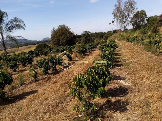 Fazenda para Venda em Nova Resende - 5