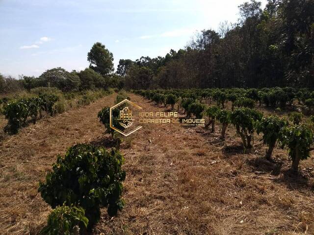 Fazenda para Venda em Nova Resende - 4