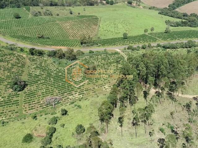 #856 - Fazenda para Venda em Nova Resende - MG - 2
