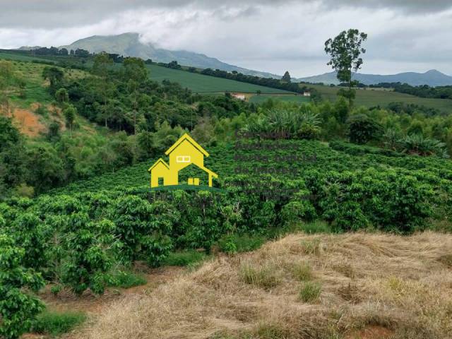 #1142 - Sítio para Venda em Alpinópolis - MG - 3