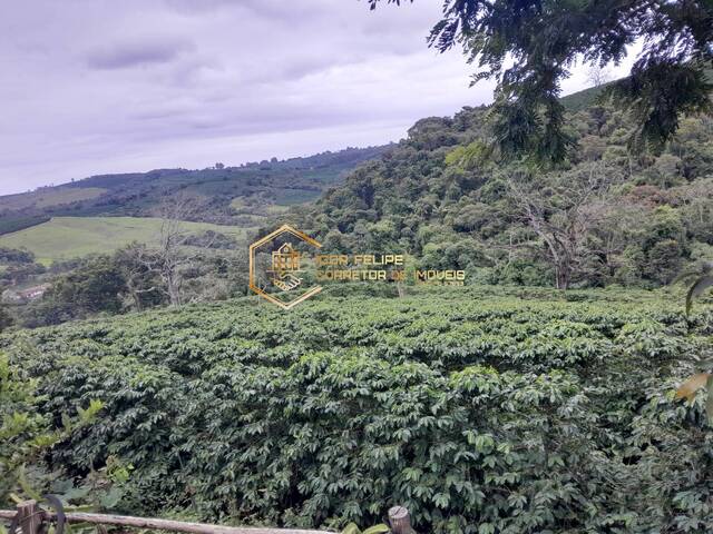 #1150 - Sítio para Venda em Nova Resende - MG - 3