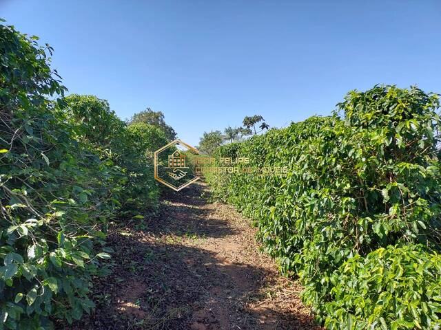 #970 - Sítio para Venda em Nova Resende - MG - 3