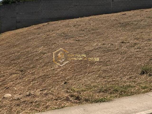 #1160 - Terreno para Venda em Nova Resende - MG - 1