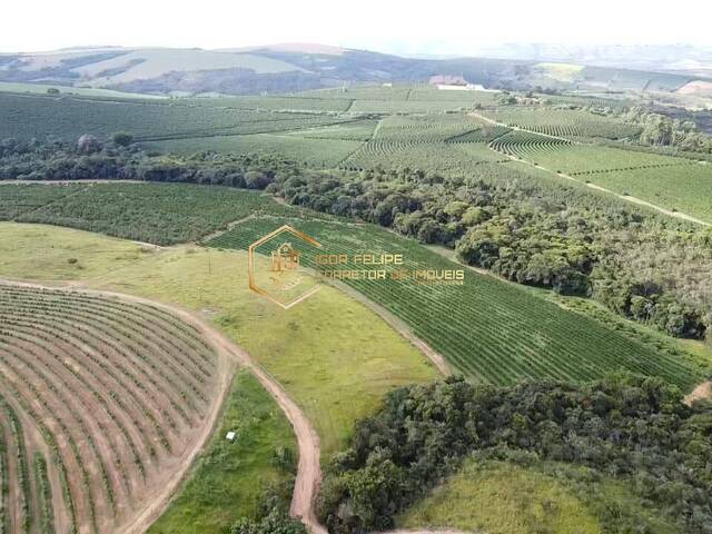 #1156 - Fazenda para Venda em Guapé - MG