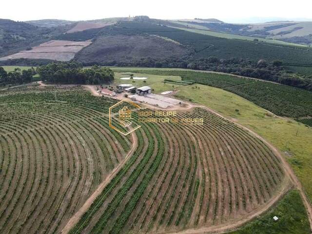 #1156 - Fazenda para Venda em Guapé - MG