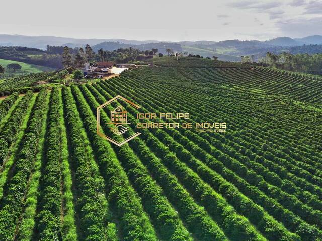 #1149 - Fazenda para Venda em Carvalhópolis - MG - 3