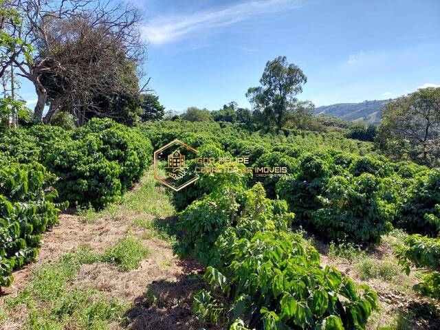 #953 - Sítio para Venda em Nova Resende - MG