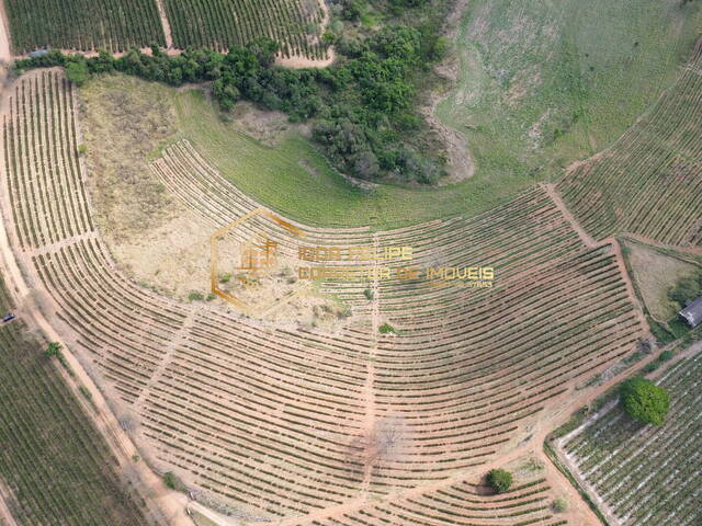 Sítio para Venda em Muzambinho - 4