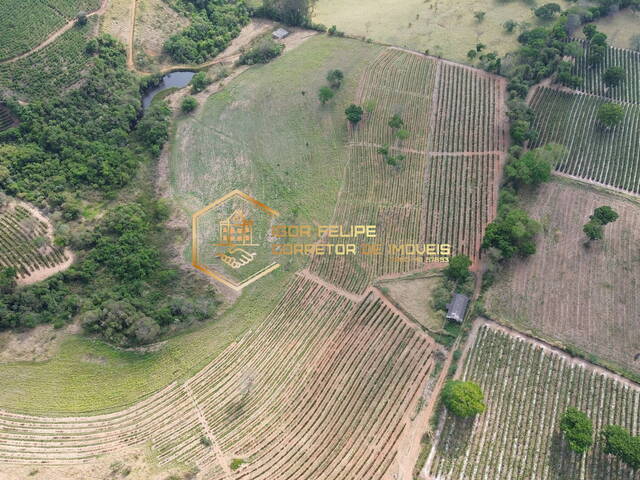Sítio para Venda em Muzambinho - 5