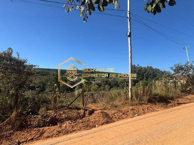 #1176 - Chácara para Venda em Nova Resende - MG - 1