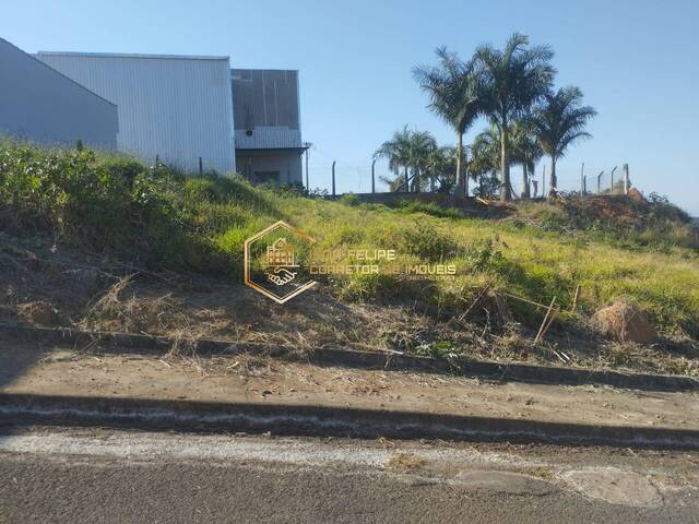 #1109 - Terreno para Venda em Nova Resende - MG - 3