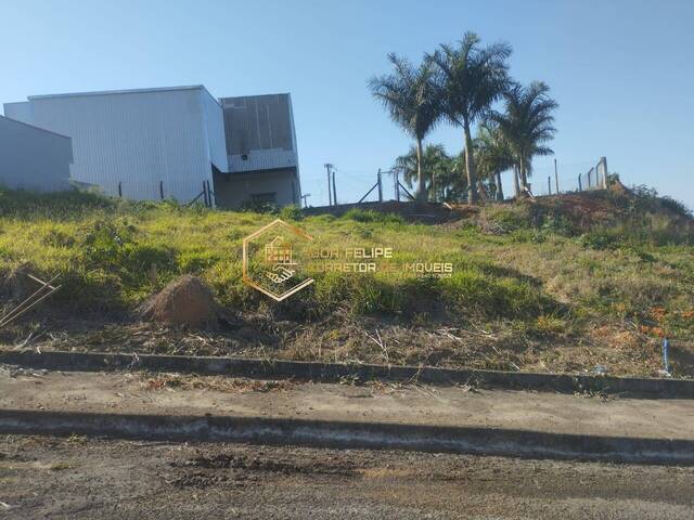 Terreno para Venda em Nova Resende - 4